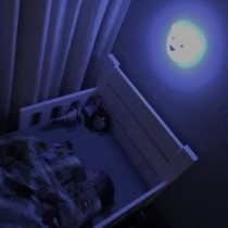 Flow LED Touch Nachtlicht Wandlampe Eisbär Björn mehrfarbig