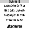 Baby Autoaufkleber BS053