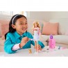 Barbie Reise Puppe mit Zubehör