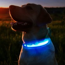 Aufladbares LED-Hundehalsband Grösse M - 40-46cm Blau