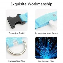 Aufladbares LED-Hundehalsband Grösse M - 40-46cm Blau