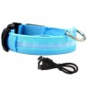 Aufladbares LED-Hundehalsband Grösse XL - 53-57cm Blau