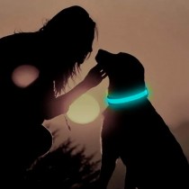 Aufladbares LED-Hundehalsband Grösse XL - 53-57cm Blau