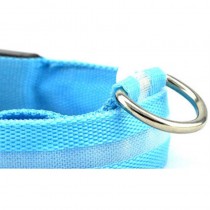 Aufladbares LED-Hundehalsband Grösse XL - 53-57cm Blau