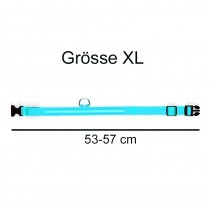 Aufladbares LED-Hundehalsband Grösse XL - 53-57cm Blau