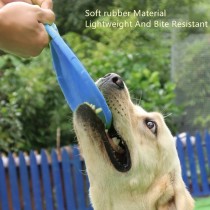 Hunde-Frisbee, Wurfscheibe für Hunde 22cm