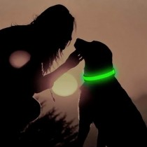 Aufladbares LED-Hundehalsband Grösse M - 40-46cm Grün