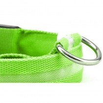 Aufladbares LED-Hundehalsband Grösse M - 40-46cm Grün