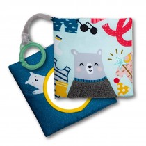 Taf Toys Babybuch Was trägt Paul