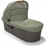 Joie Ramble XL Signature Pine