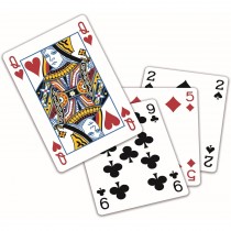 Ehlrich Brothers Mini Magic Röntgenblick