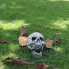 Halloween Totenkopf, Skelettkopf