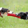 Interaktive Beisswurst für professionelle Training Rot