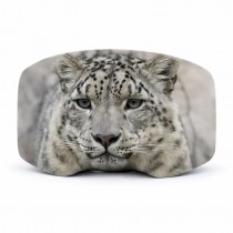 Skibrillen Schutz – Schutzhülle für Skibrille – One Size Luchs