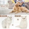 Katzenbürste und Hundebürste für Haustierpflege Grau