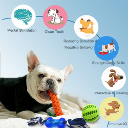 15-teiliges Hundespielzeug-Set - bunt gemischt