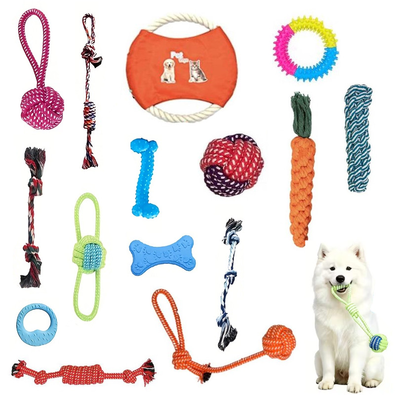 15-teiliges Hundespielzeug-Set - bunt gemischt
