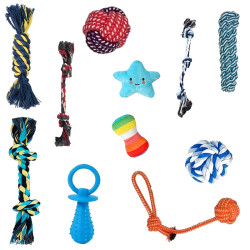 11-teiliges Hundespielzeug-Set für Welpen | befox.ch