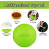Hunde-Frisbee 22 cm Grün aus Silikon | befox.ch