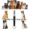 Hundetrainingspfeife verstellbar – Profi Training | befox.ch