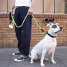 Nylon-Hundeleine 2m Grün mit gepolstertem Griff | befox.ch