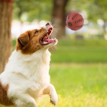 Interaktives Hundespielzeug Gummikauball mit Futterspender Rot