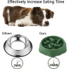 Anti Schling Hundenapf Slow Feeder Grün | befox.ch