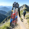 Spider-Man Trinkflasche 650 ml für Kinder | befox.ch
