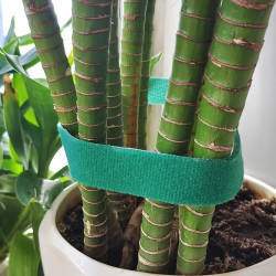 Pflanzenklettband 10 Meter – Flexibler Pflanzenbinder mit Klettverschluss