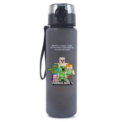 Minecraft Trinkflasche 650ml – Freunde
