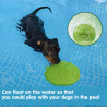 Hunde-Frisbee, Wurfscheibe für Hunde 22cm Grün