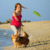 Hunde-Frisbee, Wurfscheibe für Hunde 22cm Grün