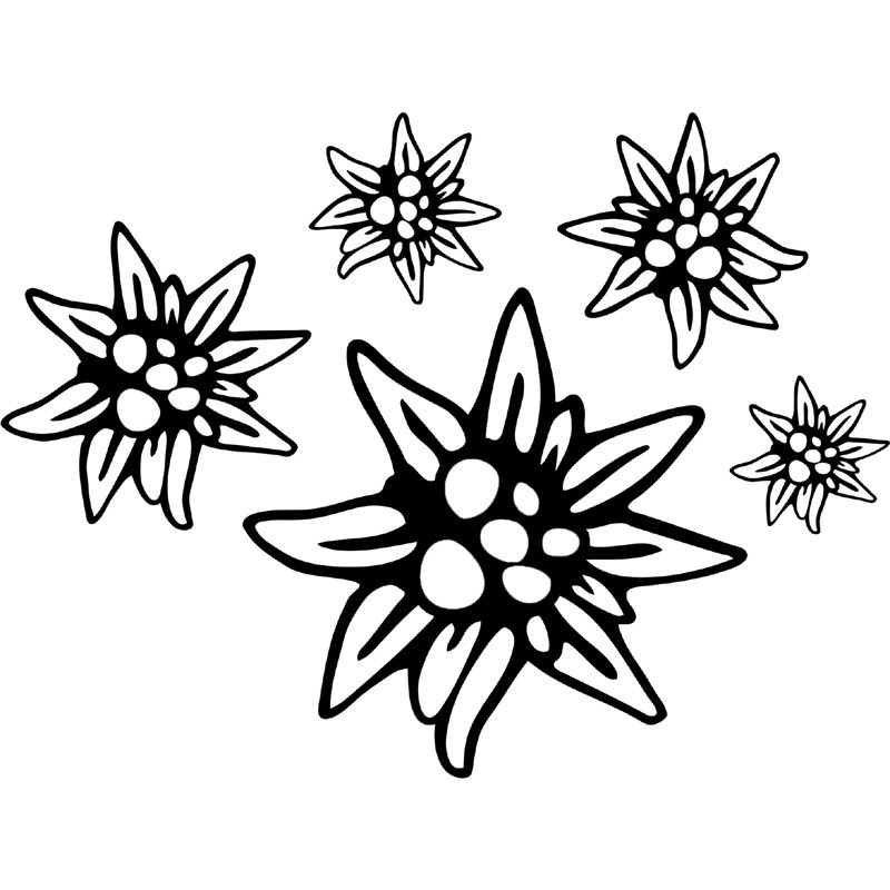 Aufkleber Edelweiss V2