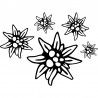 Aufkleber Edelweiss V2