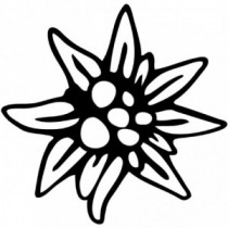Aufkleber Edelweiss V1
