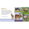 Kinderbuch Hör mal rein, wer kann das sein? Auf der Weide