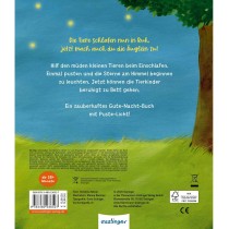 Mein Puste-Licht-Buch Wenn im Dunkeln Sterne funkeln