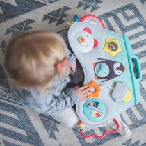 Taf Toys Musik & Lichtert Laptoy Aktivspielzeug