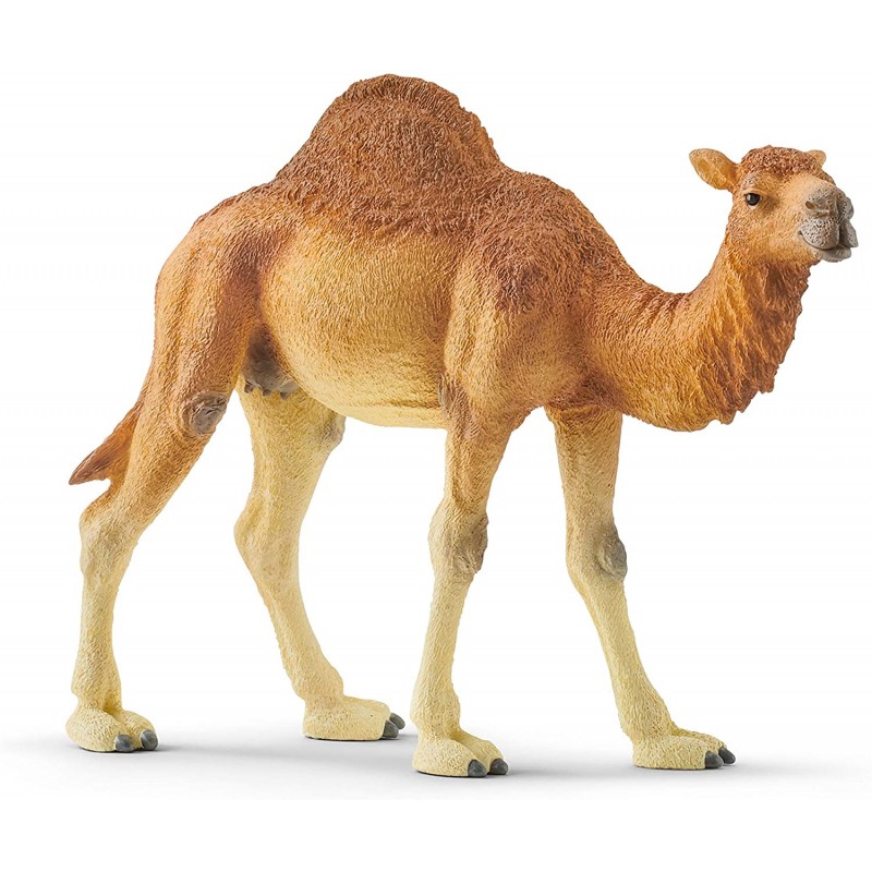Schleich Dromedar 14832