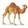 Schleich Dromedar 14832