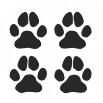 Autoaufkleber Aufkleber Motiv 21Y