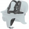 Cybex Lemo Harness Light Grey