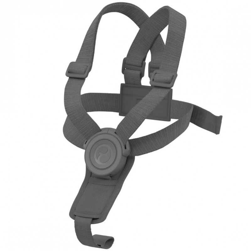 Cybex Lemo Harness Light Grey