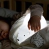 Flow Amsterdam Björn Eisbär Lampe Lichtprojekto