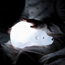 Flow Amsterdam Björn Eisbär Lampe Lichtprojekto