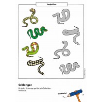 Vorschulblock - Konzentration und Wahrnehmung ab 5 Jahre