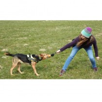 Leckerli-Tasche für das Hundetraining Grösse M - 20 x 5 cm Orange