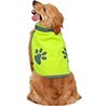 Hundebekleidung
