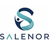 Salenor